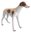 Miniature Ceramic Greyhound - White with Brown- Standing