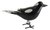 Magpie Bird Glass figurine Approx 9x24cm