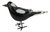 Magpie Bird Glass figurine Approx 9x24cm