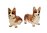 Miniature Corgi Dog Figurines Cute Brown & White Set/2